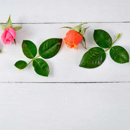 Flowers composition. Red roses on a white wooden background. Flat lay, top view. Free space for text.の写真素材