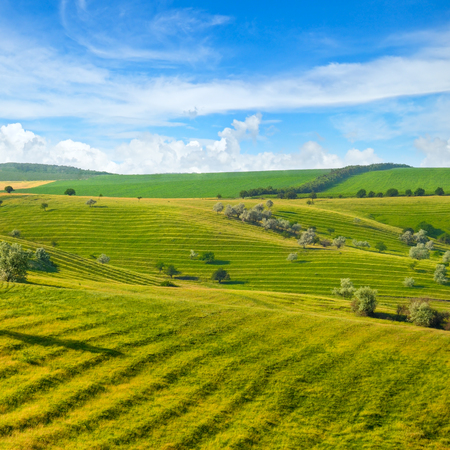 Green field and blue sky. Picturesque hills formed by an old river terrace. Moldova.の写真素材
