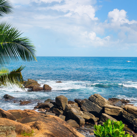 Beach tropical ocean with boulders, palm trees and lagoon.の写真素材