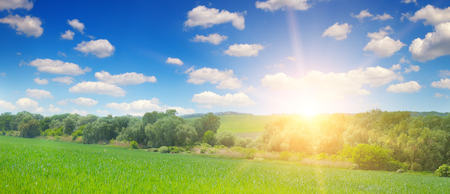 Green field and blue sky with light clouds. Above the horizon is a bright sunrise. Agricultural landscape. Wide photoの写真素材