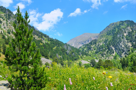 Picturesque mountain landscape,meadow, hiking trail and beautiful sky.の写真素材