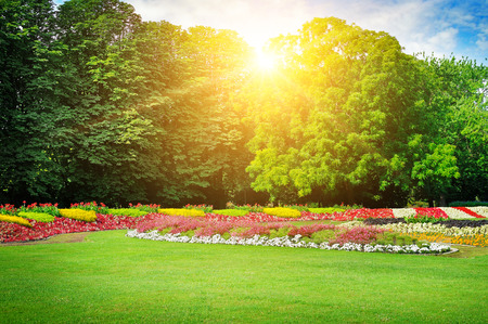 Summer park with beautiful flowerbeds and sunrise.の写真素材