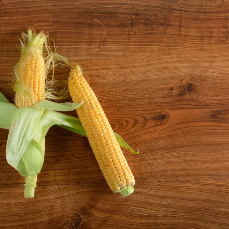 Three fresh corn cob on wooden table. Healthy food. Free space for text.の写真素材