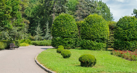 Summer park,hedge, green meadow and blue sky. A bright sunny day. Wide photo.の写真素材