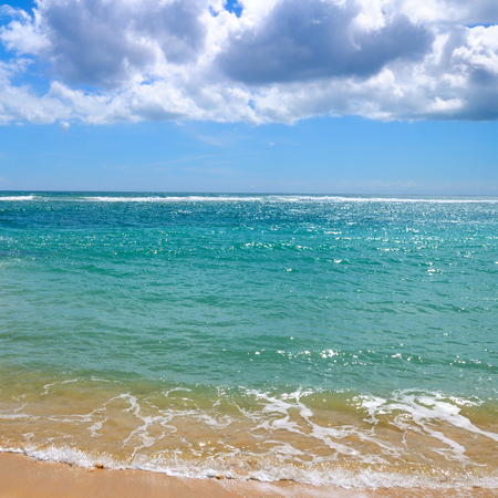Deserted sandy beach of the Indian Ocean. In the blue sky, picturesque cumulus clouds.の写真素材