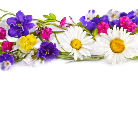 Floral ornament. Chamomile and Violet isolated on white background. Flat lay, top view. Free space for text.の写真素材