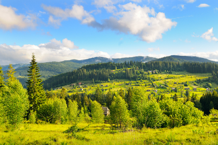 Slopes of mountains, coniferous trees and clouds in the evening sky.の写真素材