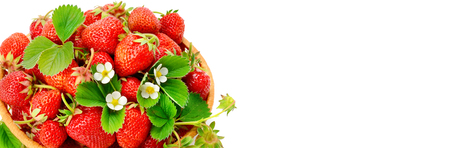 Appetizing strawberries in a wicker basket isolated on white background. Flat lay,top view. Free space for text. Wide photo.の写真素材