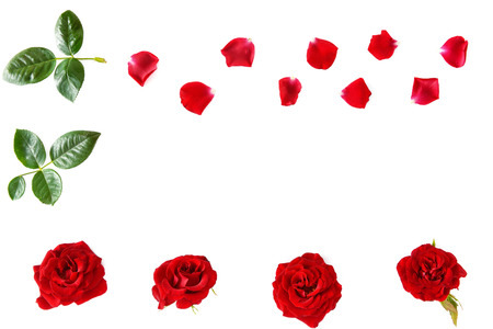 Flowers composition. Red roses isolated on white background. Flat lay, top view. Free space for text.の写真素材