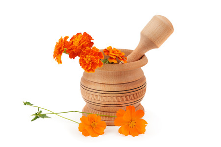 Wooden pestle and mortar and medicinal herbs isolated on white background.の写真素材
