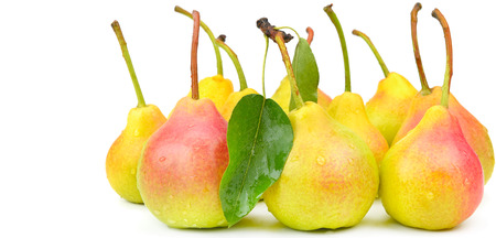 Ripe appetizing pears isolated on white background. Healthy food. Wide photo . Free space for textの写真素材