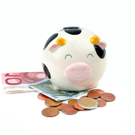 Piggy bank, banknotes and euro coins isolated on white background. Business concept. Free space for text.の写真素材