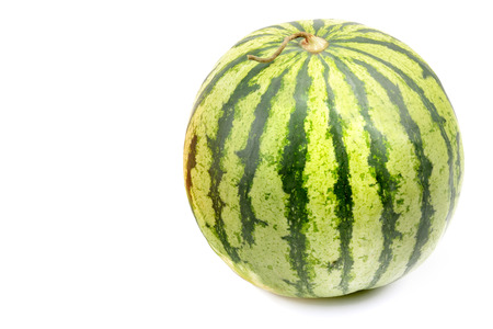 Ripe round watermelon isolated on white background. Free space for text.の写真素材