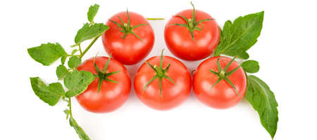 Fresh appetizing tomatoes isolated on white background. Wide  .Flat lay, top view.の写真素材