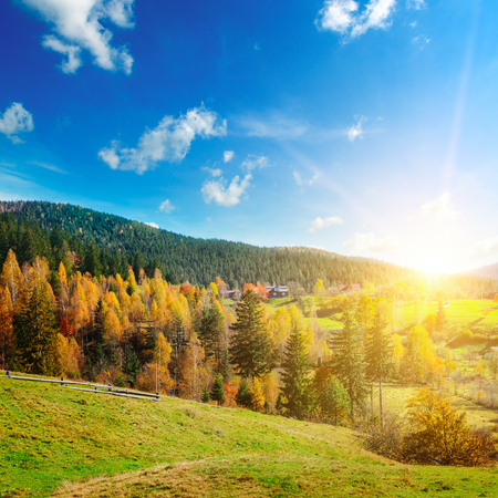 Majestic particolored forest with sunny beams. Natural park. Dramatic unusual scene. Red and yellow autumn leaves. Carpathians, Ukraine, Europeの写真素材