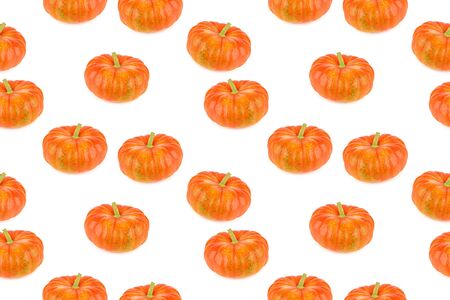 Seamless pattern with ripe pumpkins isolated on white background.の写真素材