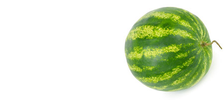 Round watermelon isolated on white background. Wide photo. Free space for text.