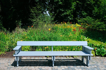 A bench in the alley in the park on a sunny day.