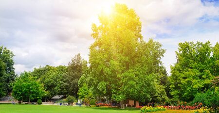 Summer park with beautiful green lawns and sun.の写真素材