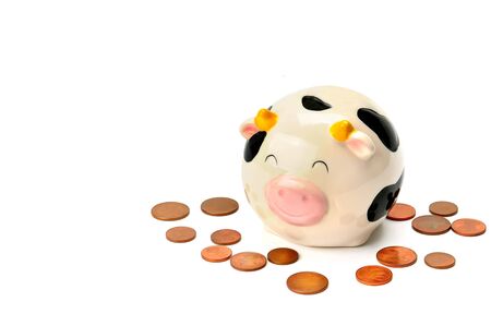 Pink piggy bank and coins, isolated on white background . Business concept. There is free space for your text.の写真素材
