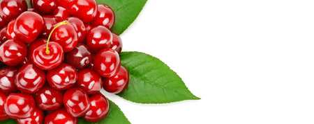 Appetizing fresh cherry isolated on a white background. Wide photo. Free space for text.