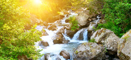Mountain river with waterfalls. Picturesque forest and sunrise. Wide photo.の写真素材