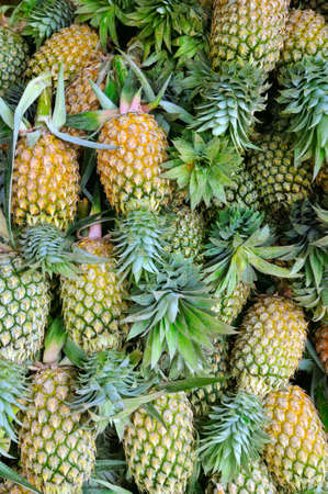 Ripe pineapples on the counter of a vegetable shop. Bright background.の写真素材