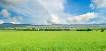 Green meadow and blue sky. Composition of nature.の写真素材