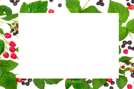 Beautiful frame from a pattern of leaves and berries of raspberries, currants, blackberries. Place...