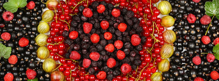 Bright background of blackberries, red currants, raspberries and gooseberries. Wide photo.