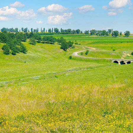 grassy meadow with distant hills, trees and cloudy sky