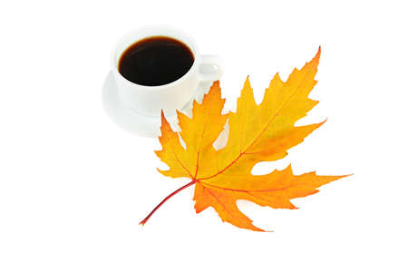 Cup of coffee and yellow maple leaf isolated on white background.の写真素材
