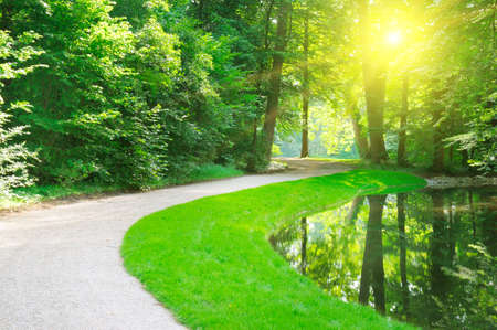 Forest and pond with reflection of trees and sun. Beautiful summer landscape.の写真素材