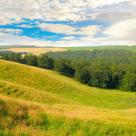 Vast grassy meadow with distant hills, trees and cloudy skyの写真素材