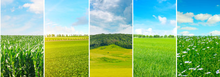 Panoramic view of green field and blue sky with light clouds. Collage.Wide photo.