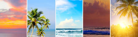 Panoramic view of tropical beaches and beautiful sky. Collage.Wide photo.の写真素材