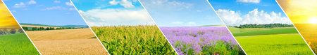 Panoramic view of green field and blue sky with light clouds. Collage.Wide photo.