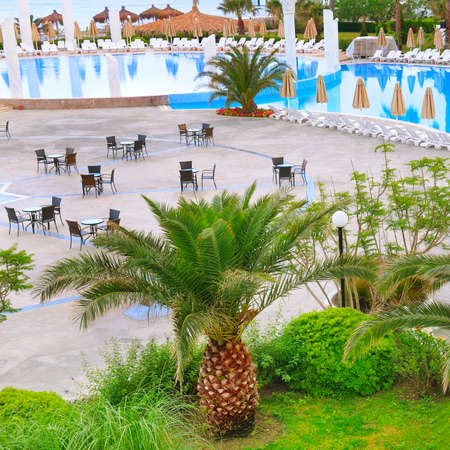 Sun loungers and parasols by the swimming pool in a palm tree garden, Turkey.の写真素材