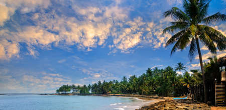 Beautiful sunset over a tropical beach with palm trees. Travel and vacation conceptWide photo.の写真素材