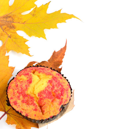 Muffin on autumn maple leaf isolated on white background. Free space for text.