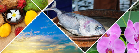 Photo collage of tropical landscapes located in mosaic. Concept - vacation and travel. Wide photo.の写真素材