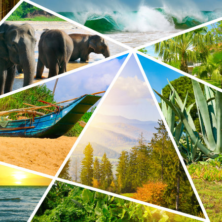 Collage for travel and vacation advertising. Seascapes, exotic plants, animals, palm trees, elephants, mountains.の写真素材