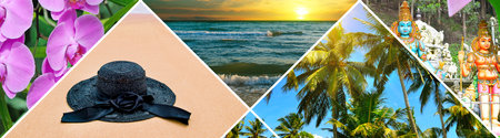 Tropical seascape , sandy beach, exotic tropical trees and flowers . Collage for travel and vacation advertising. Wide photo.の写真素材