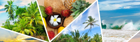 Photo collage of tropical landscapes located in mosaic. Concept - vacation and travel. Wide photo.