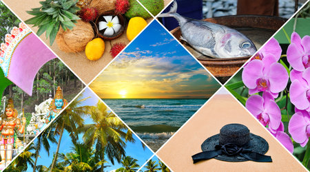 Collage of summer beach images - nature and travel background.の写真素材