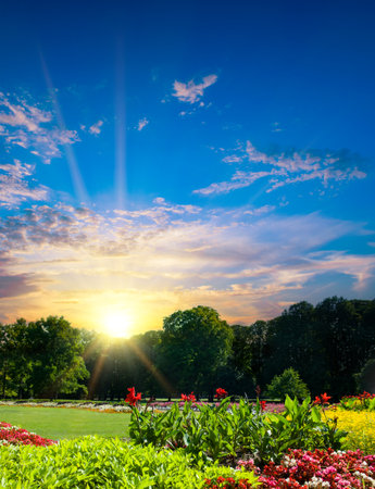Beautiful urban garden with a flower garden and sunrise. Vertical photo.の写真素材