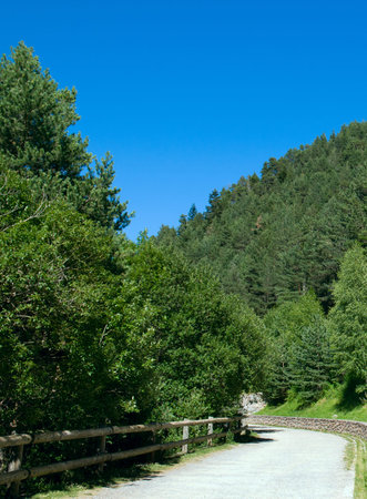 Mountains of the Pyrenees, covered with forests and a comfortable walking path. Vertical photo.