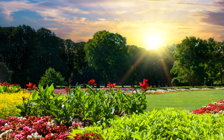Beautiful urban garden with a flower garden and sunrise.の写真素材