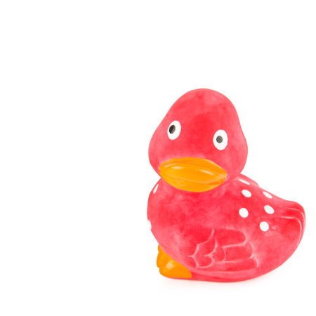 Toy for dogs isolated on white background. Free space for text.の写真素材