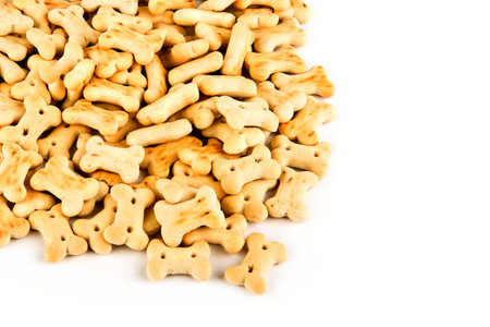 Dog biscuits, a treat isolated on a white background. Free space for text.の写真素材